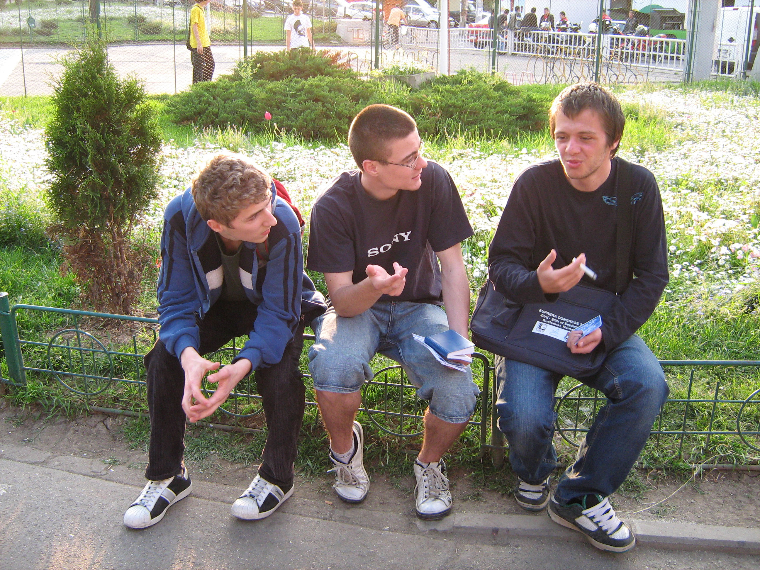 Broșuri și chestionare